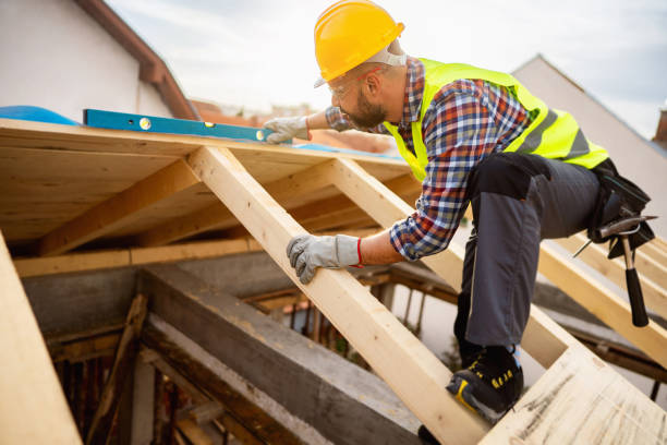 Best Roof Gutter Cleaning  in Texarkana, TX